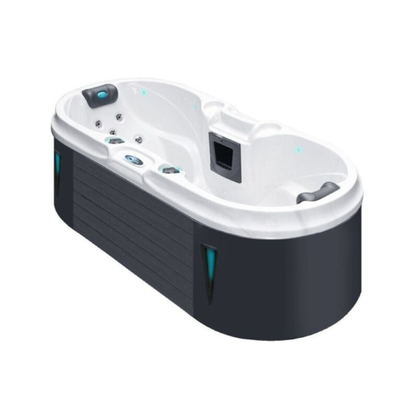 Spa AIDII nouvelle génération bluetooth/wifi